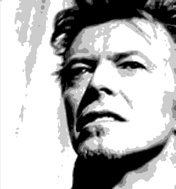 David Bowie Portrait - Unique work piece